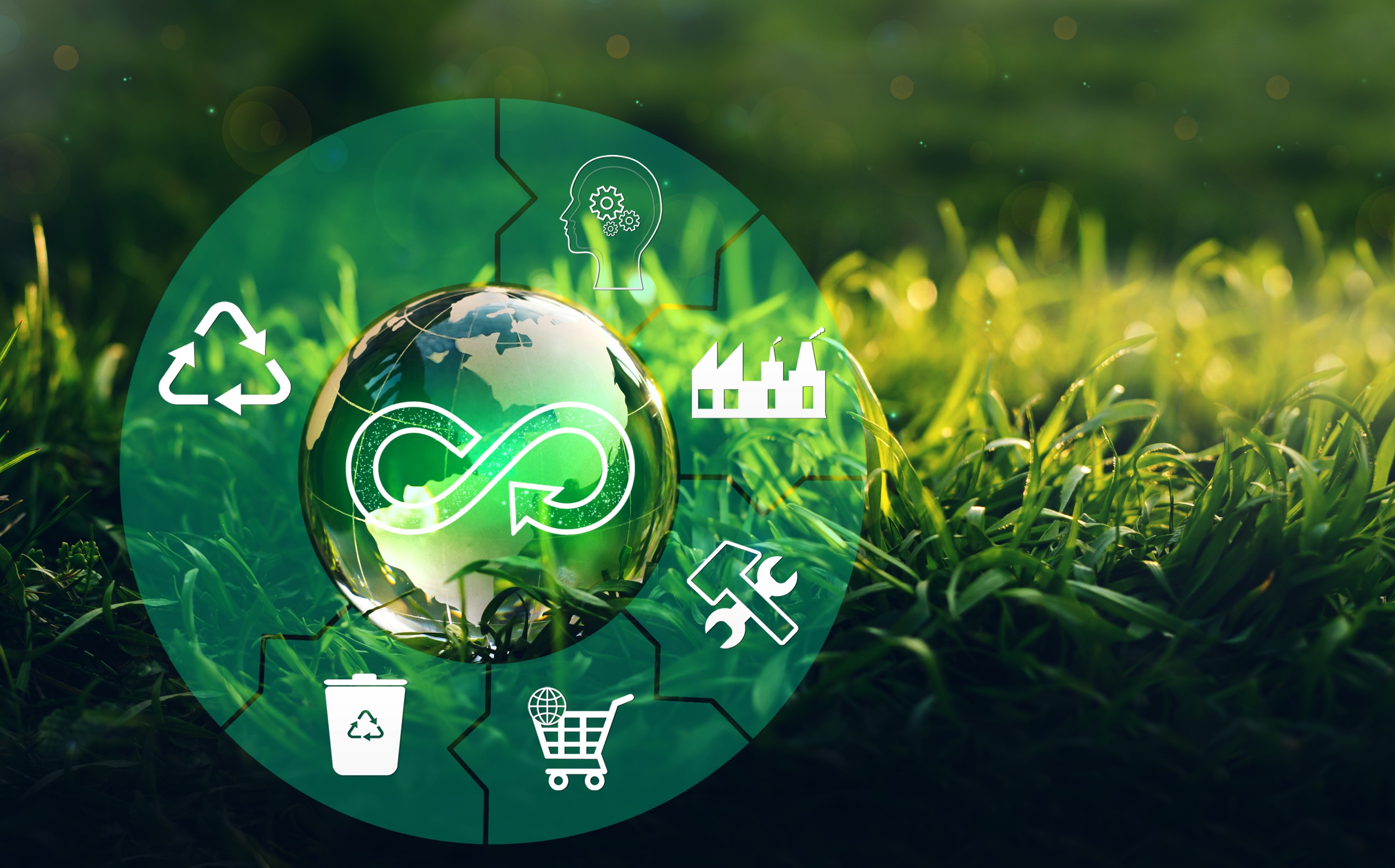 shutterstock_2071904225-1